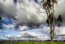 NBA火箭队今日有视频直播吗？怎么看？有哪些看点？