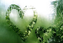 中国男篮国家队最新赛程官宣了吗？都有哪些重要赛事？