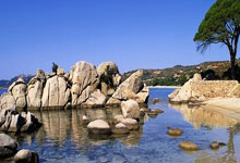 上海五星体育手机端有免费直播吗？怎么看？